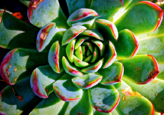 New Group Starting In August