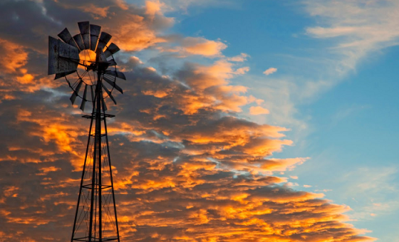 On Sharing With Family and Friends