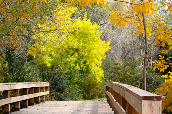 On the art of apologies