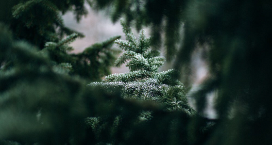 Perfectly Broken and Whole