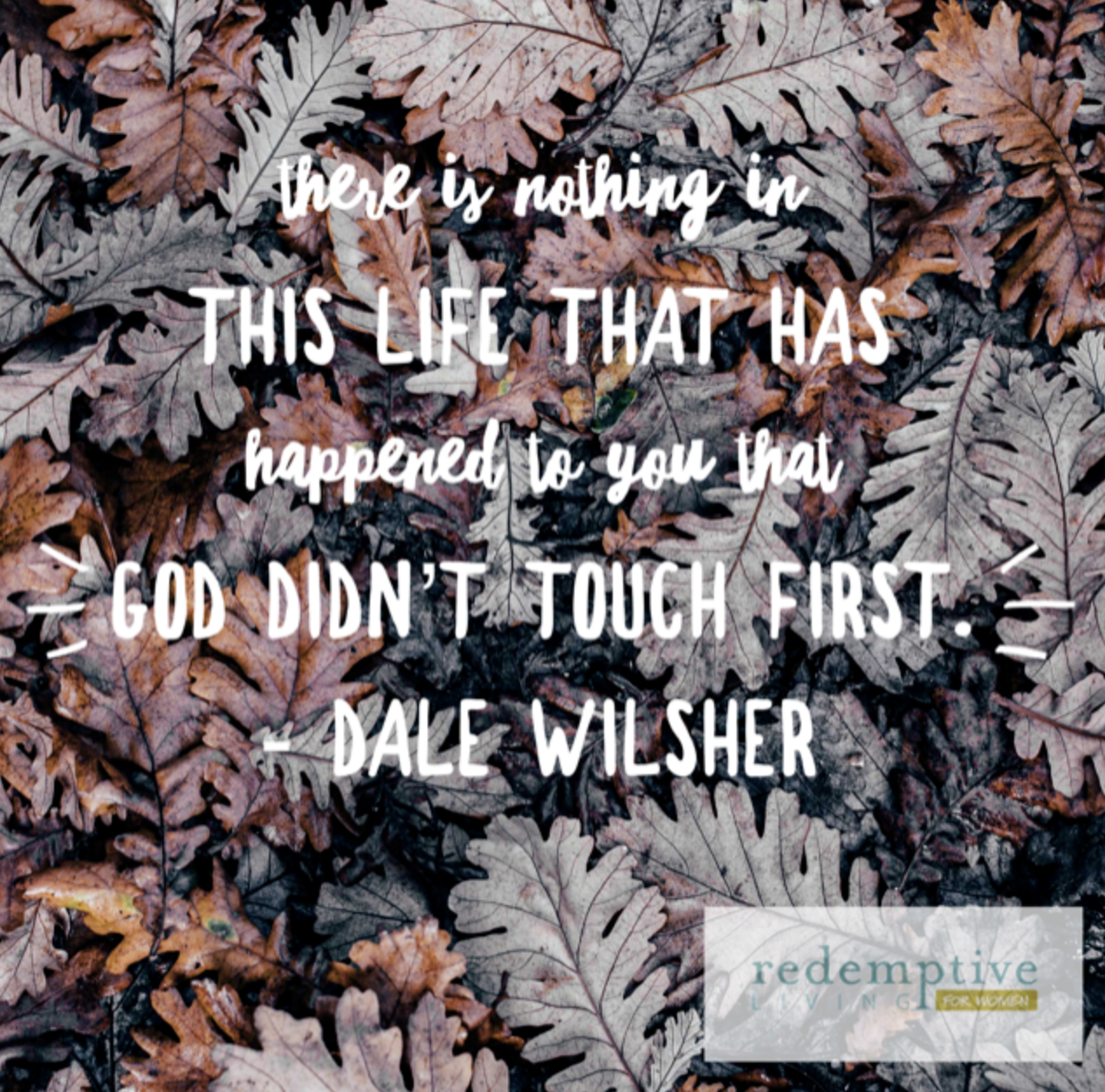 Respite for your weary soul (+ possibly your weary body)