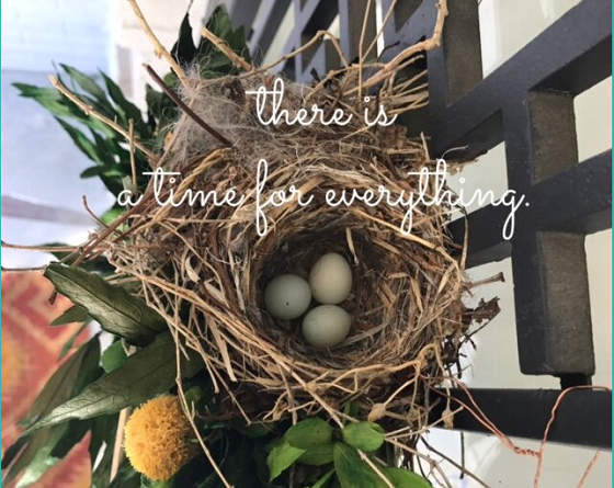 Small Moments of Glory