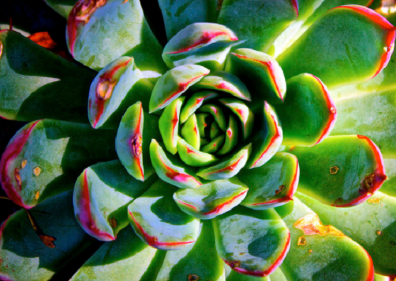 To accept and then to love  {An update on Insecurity - A 2015 Intentional (#2)}