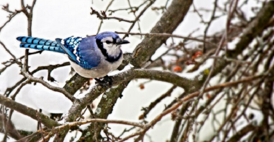 Two new groups starting in March!