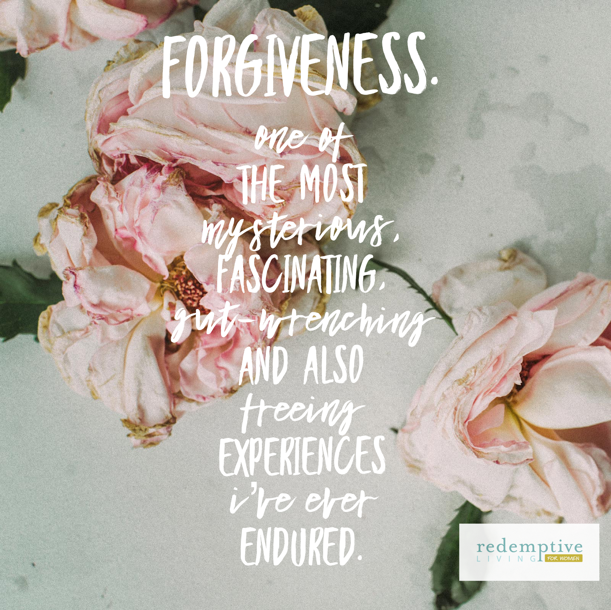 forgiveness072019.png