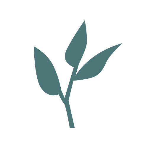 Illustration of a simple plant with three leaves against a black background.