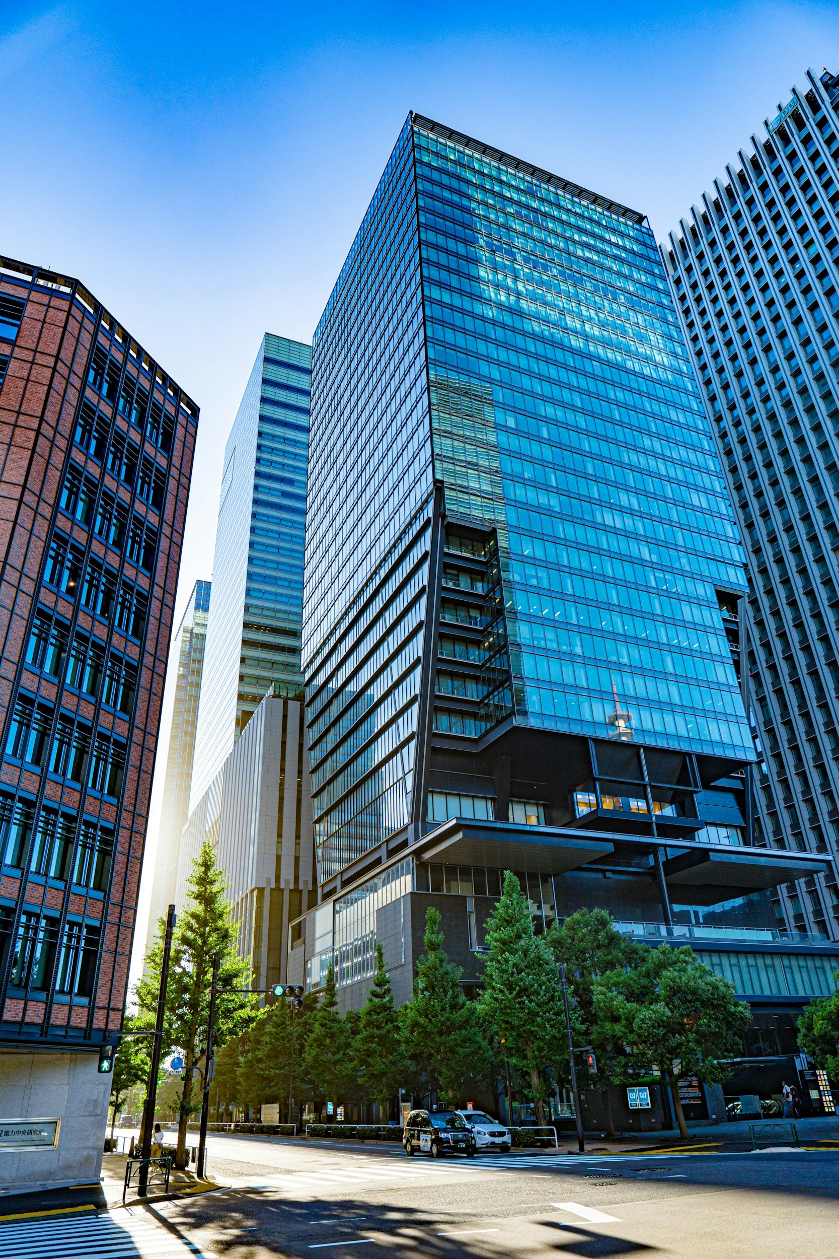 Tall modern glass office buildings in downtown with green trees and cars on the street