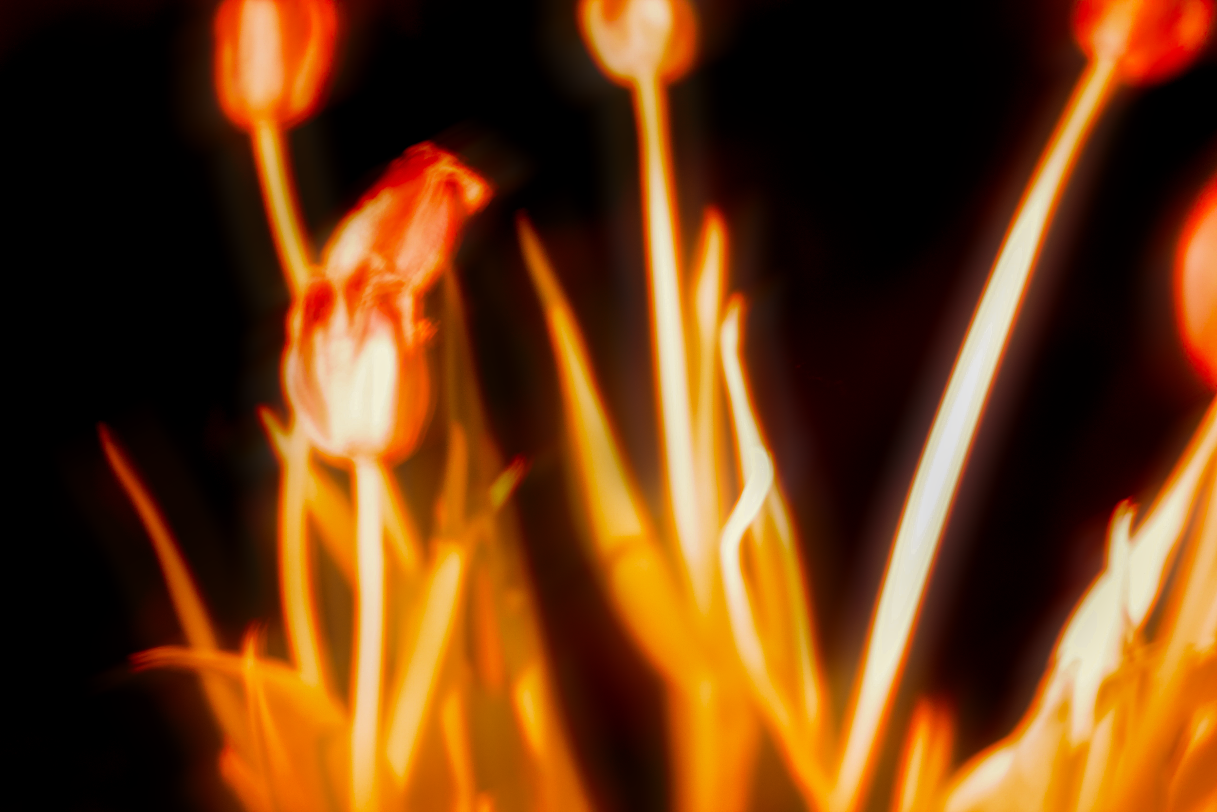 _MG_9870 2.png
