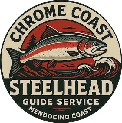 rs=w_403,h_409 Large.jpeg