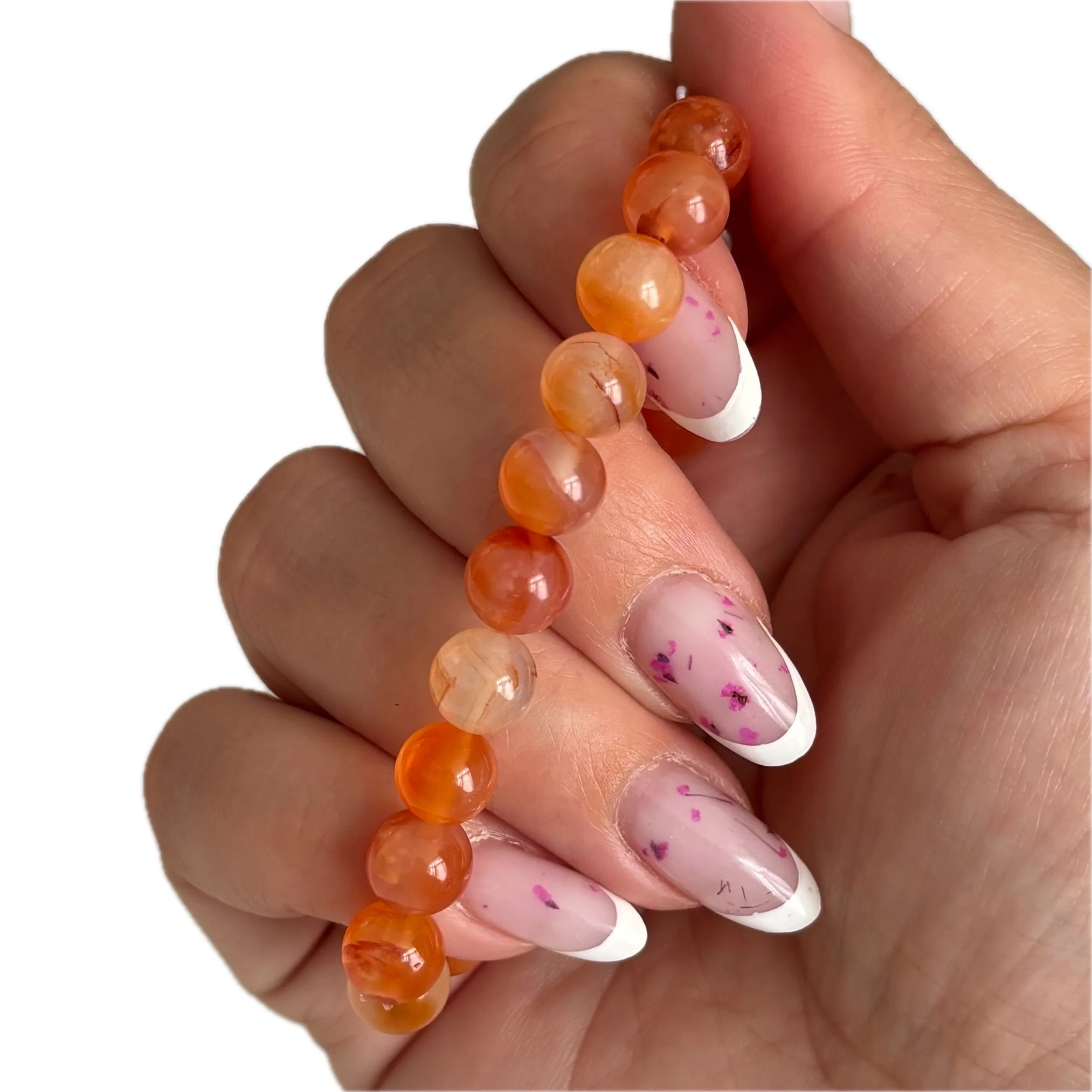 IMG_4640 avec arrière-plan supprimé.jpeg