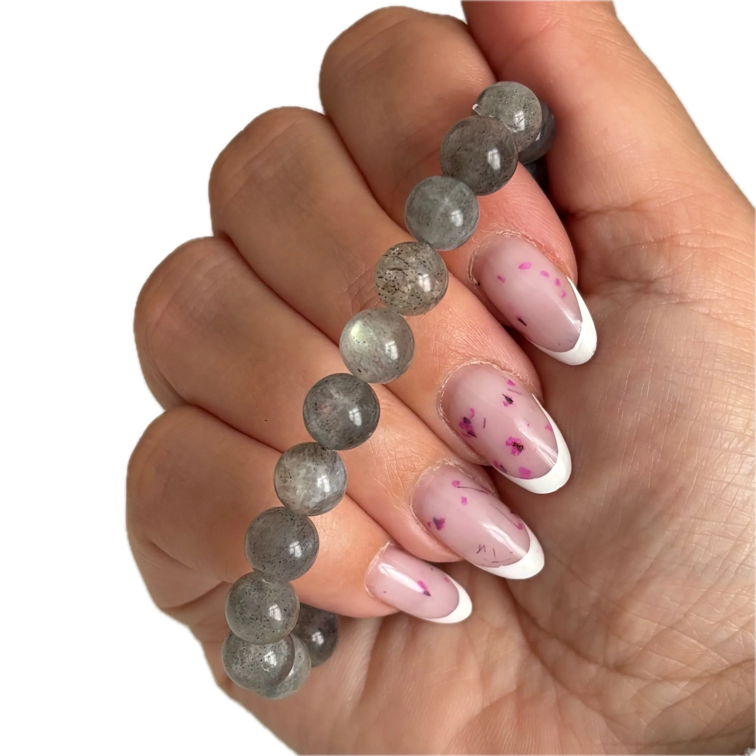 IMG_4636 avec arrière-plan supprimé.jpeg