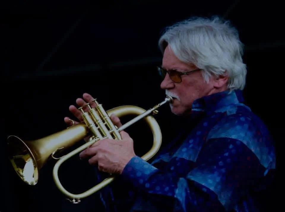 Jazz Night Wednesday with The New Jazz Trio
