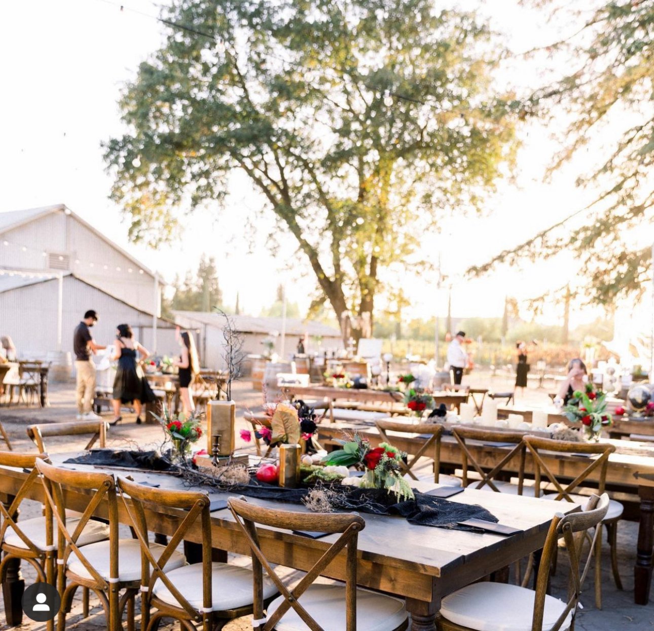 An outdoor event thoughtfully set for a full winery buyout, with styled tables and chairs arranged beneath a large tree, string lights glowing as the space is prepared for a celebration at sunset.
