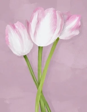 Tulip Pink.jpg
