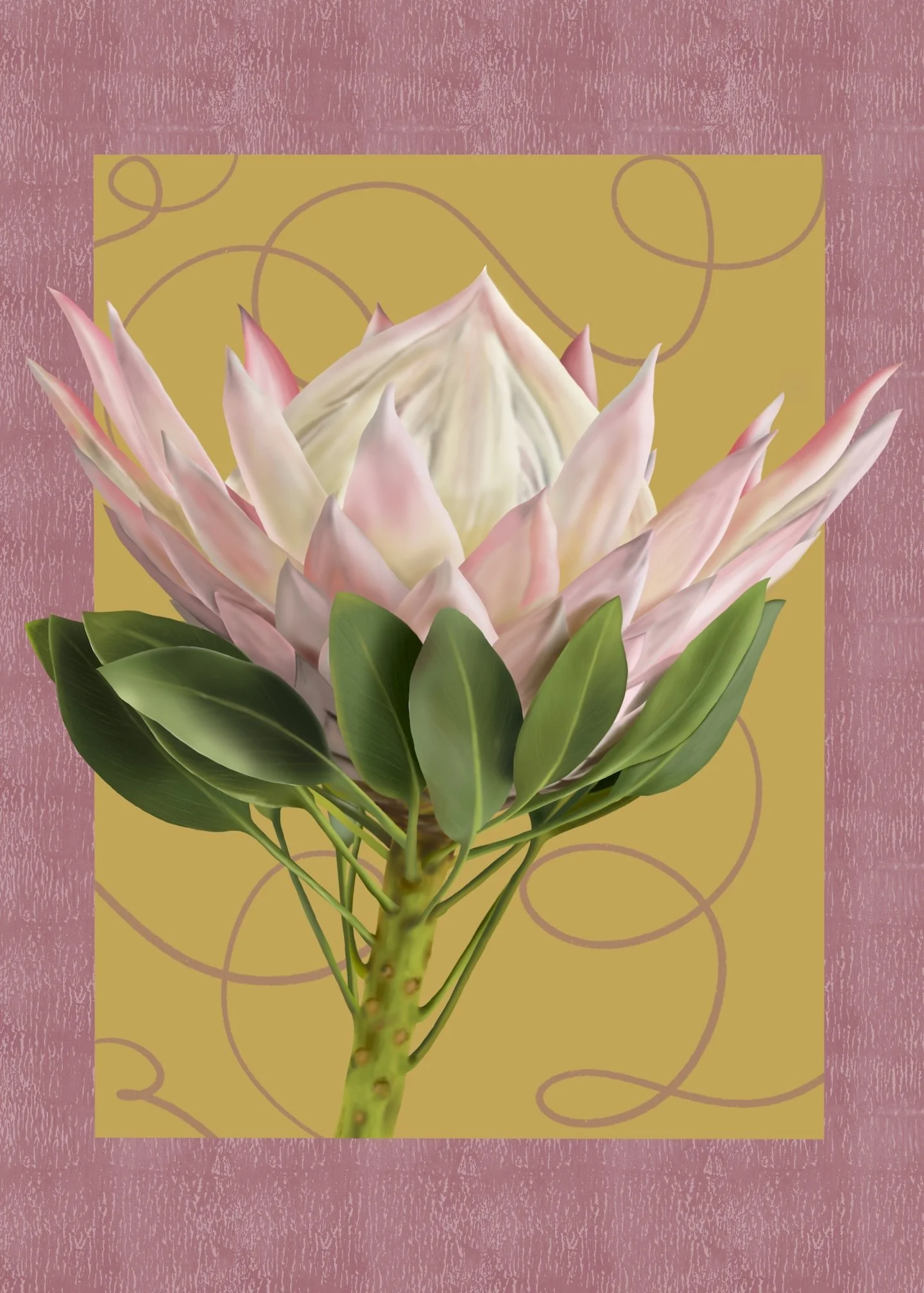 King Protea on Orange Pink Low Res.jpg