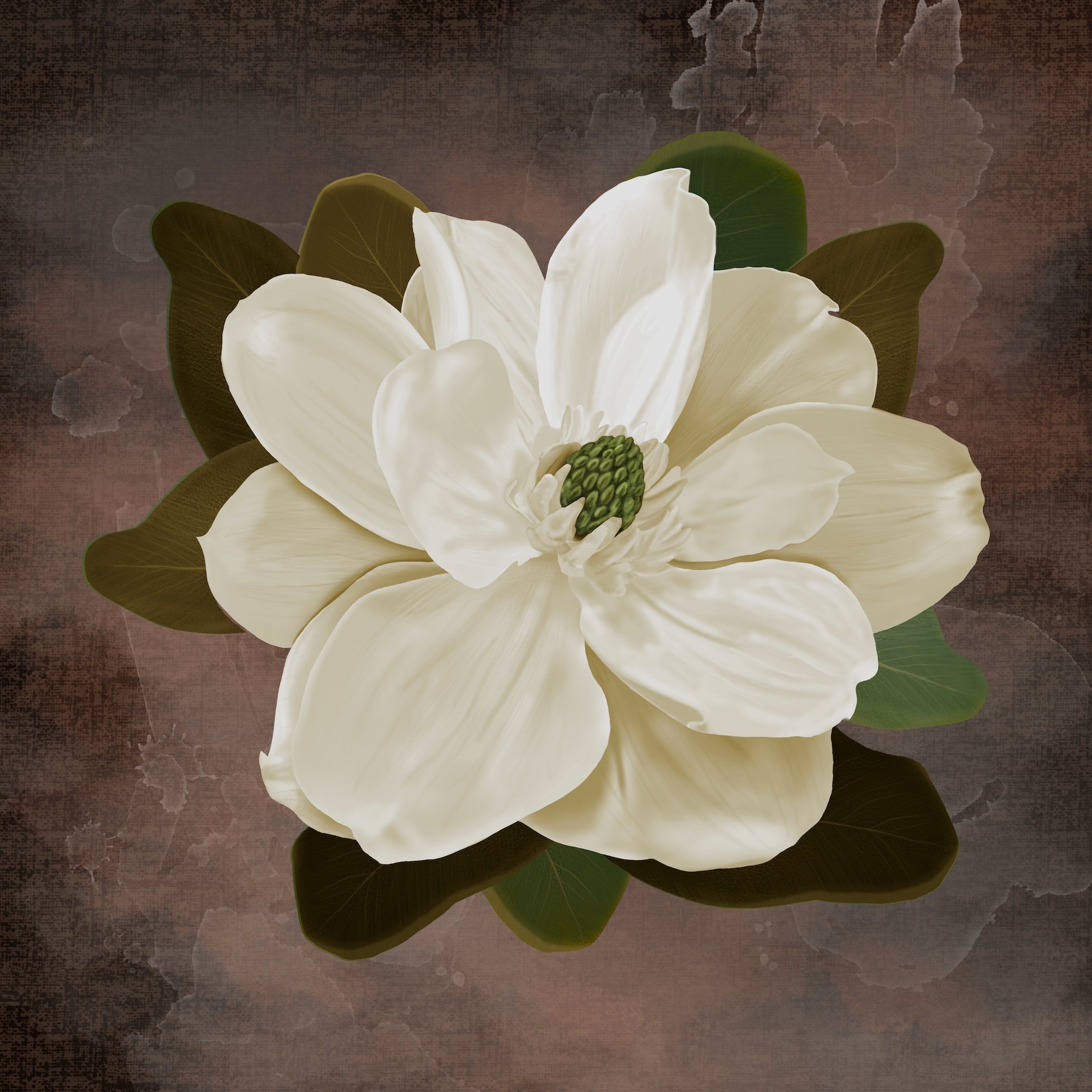 Magnolia on Brown 28x28 Low res.jpg