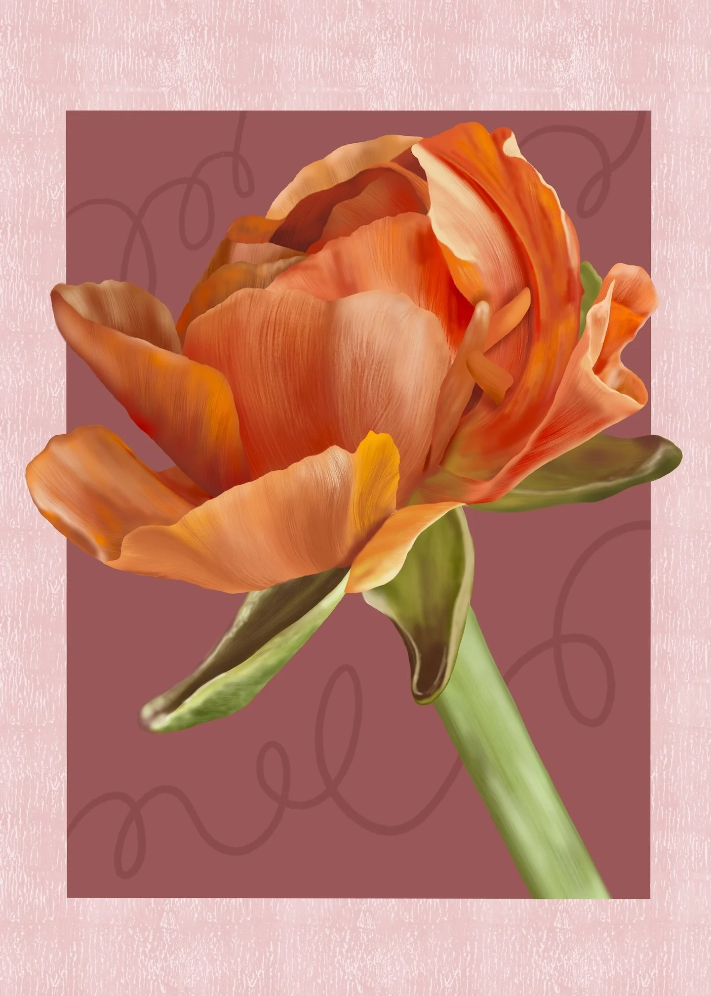 Ranunculus on Pink Low Res.jpg