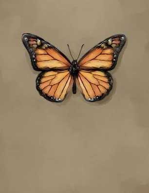 Butterfly Simple.jpg