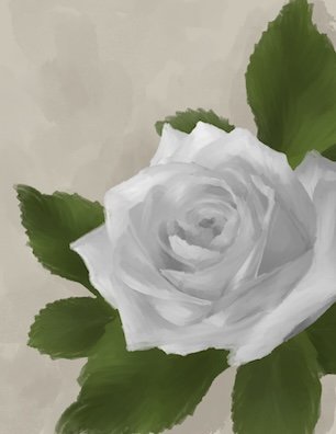 Rose Silver.jpg