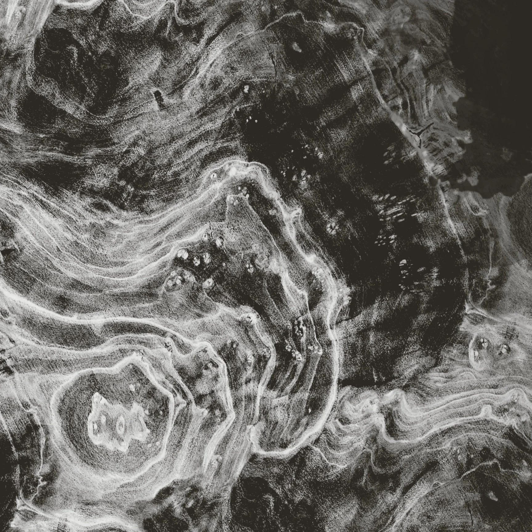 BlackWhiteTreeRing20x20LOWRES.jpg