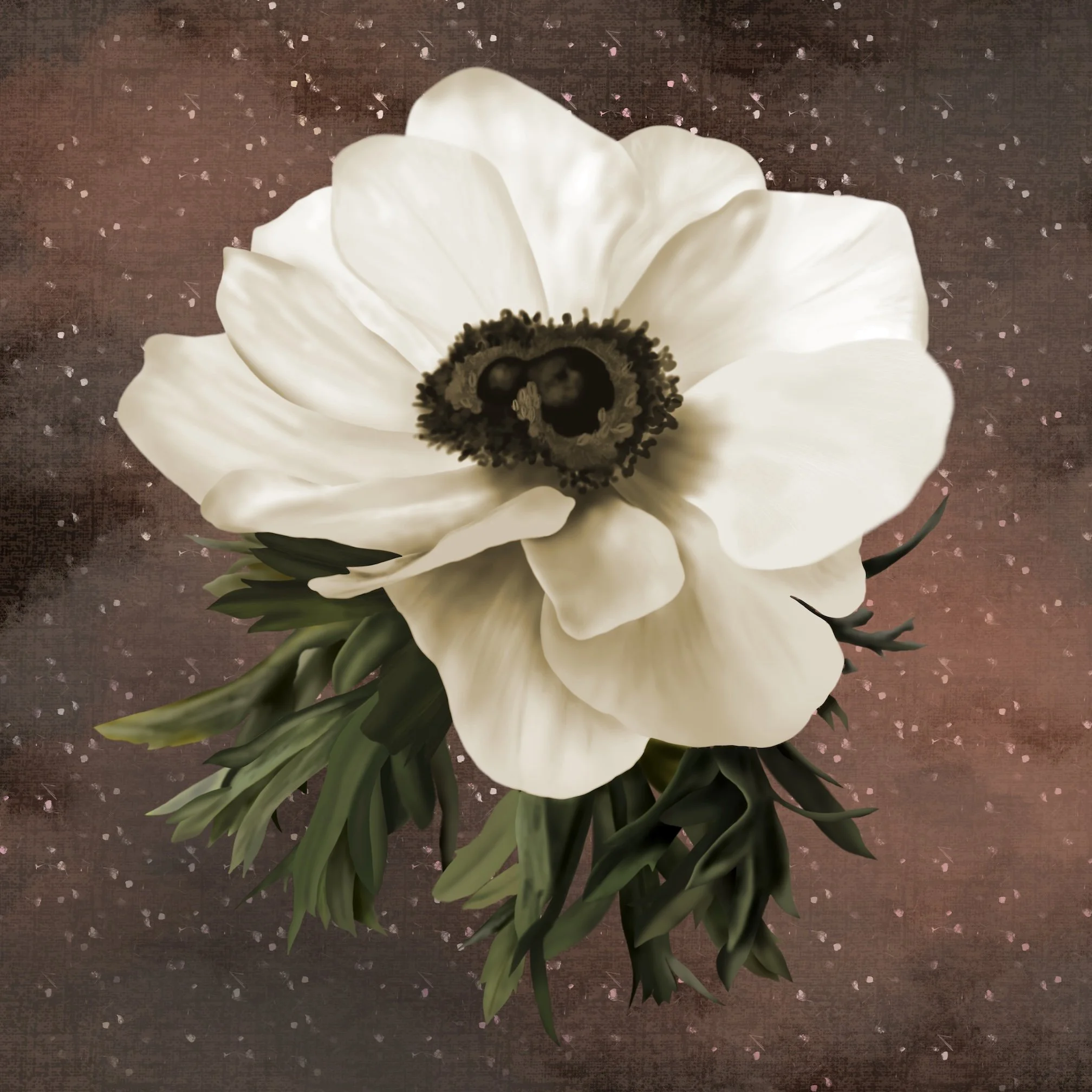 Anemone on brown 28x28 low res.jpg