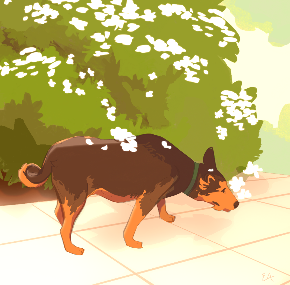 Untitled_Artwork (41).png
