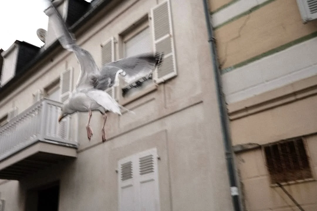 5 hours here. Taking these faded glows. (18).jpg