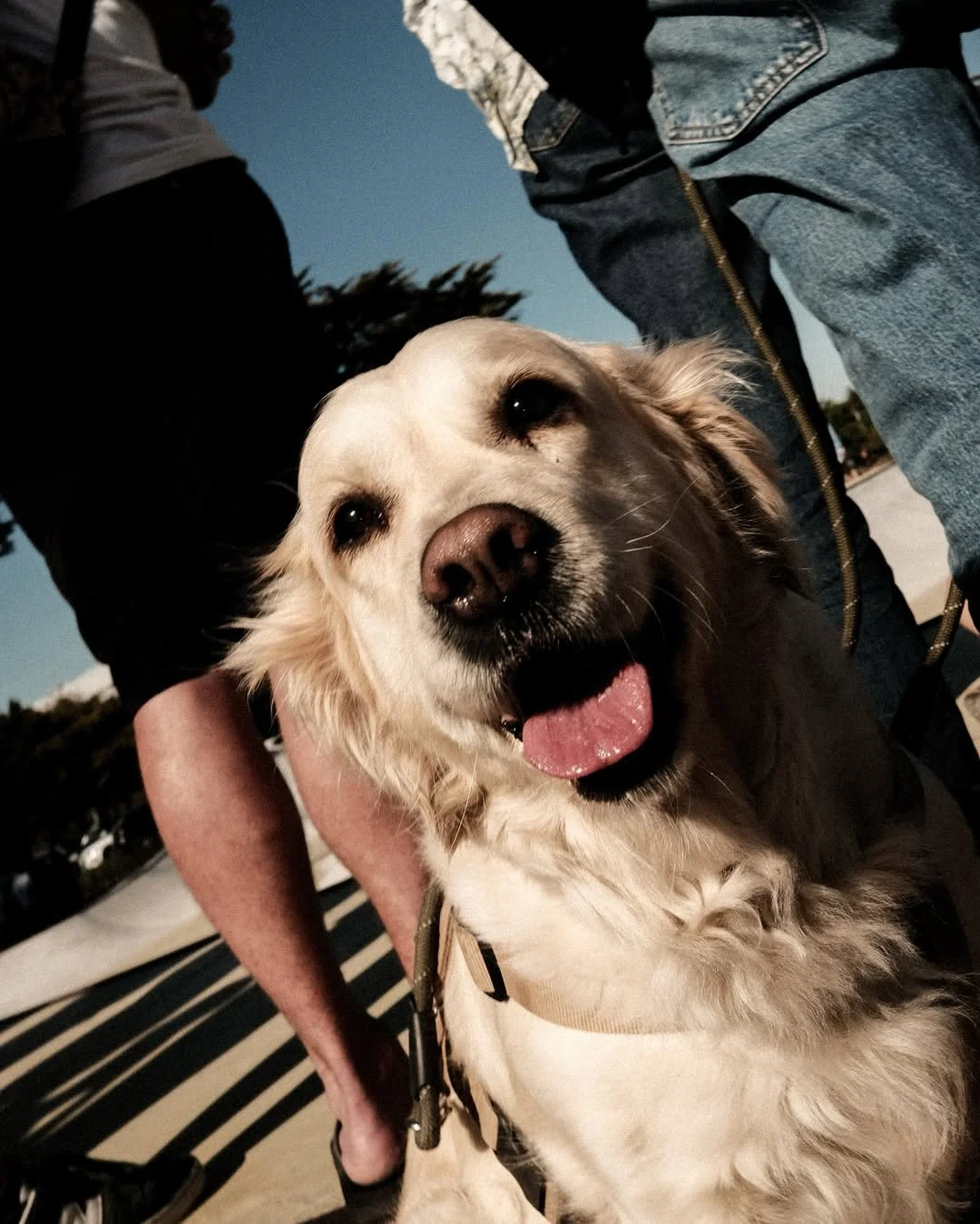 SGXV hits different (24).jpg