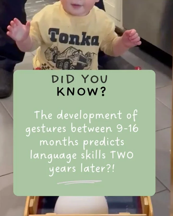 Early gestures are a powerful foundation for communication development and are associated with later language skills!

Here are some examples of gestures that you should expect to see by 16 months.

Give an object
Shake head &ldquo;no&rdquo;

Reach t