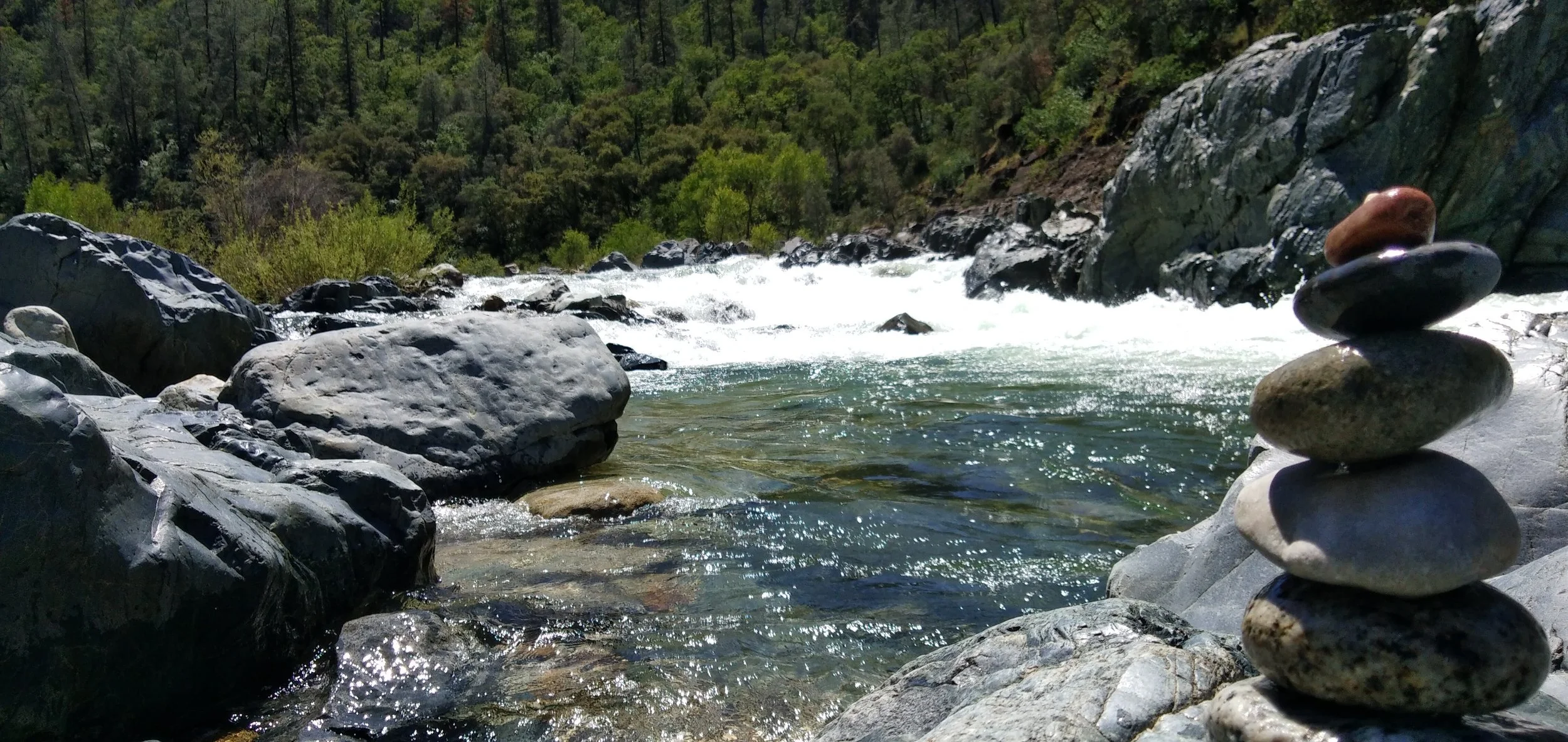 Managing Up for Success