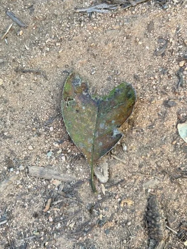 What’s Your Story?