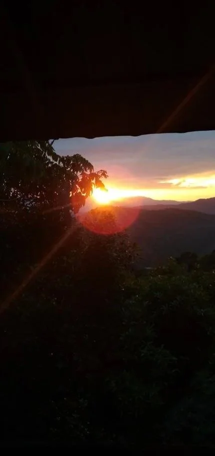 Energy Pulse: December 2025