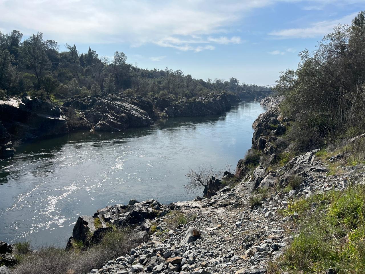 Mindfulness Pulse: March 2025