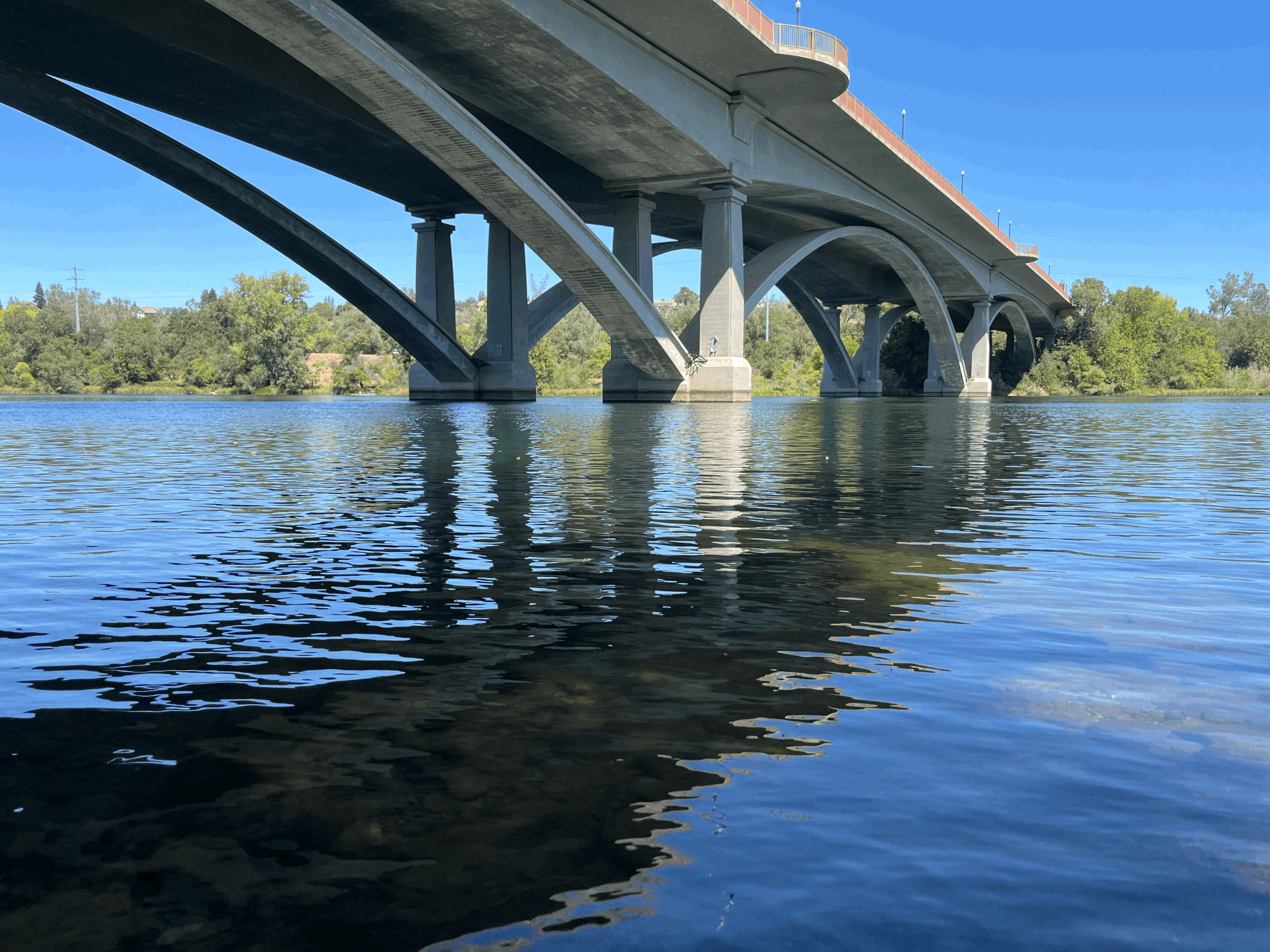 The Water We All Live In