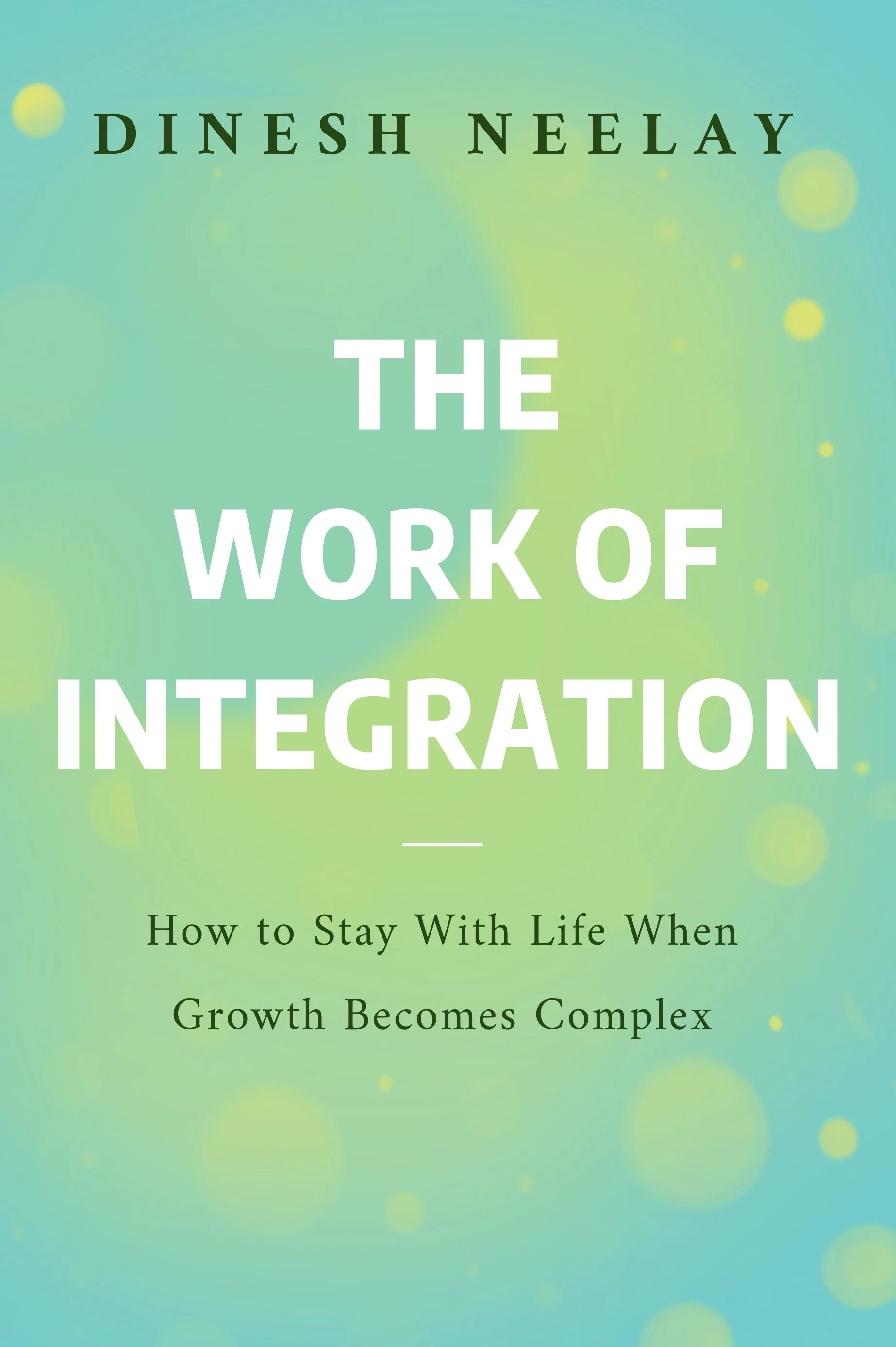 The Work of Integration, a book by Dinesh Neelay available on Amazon