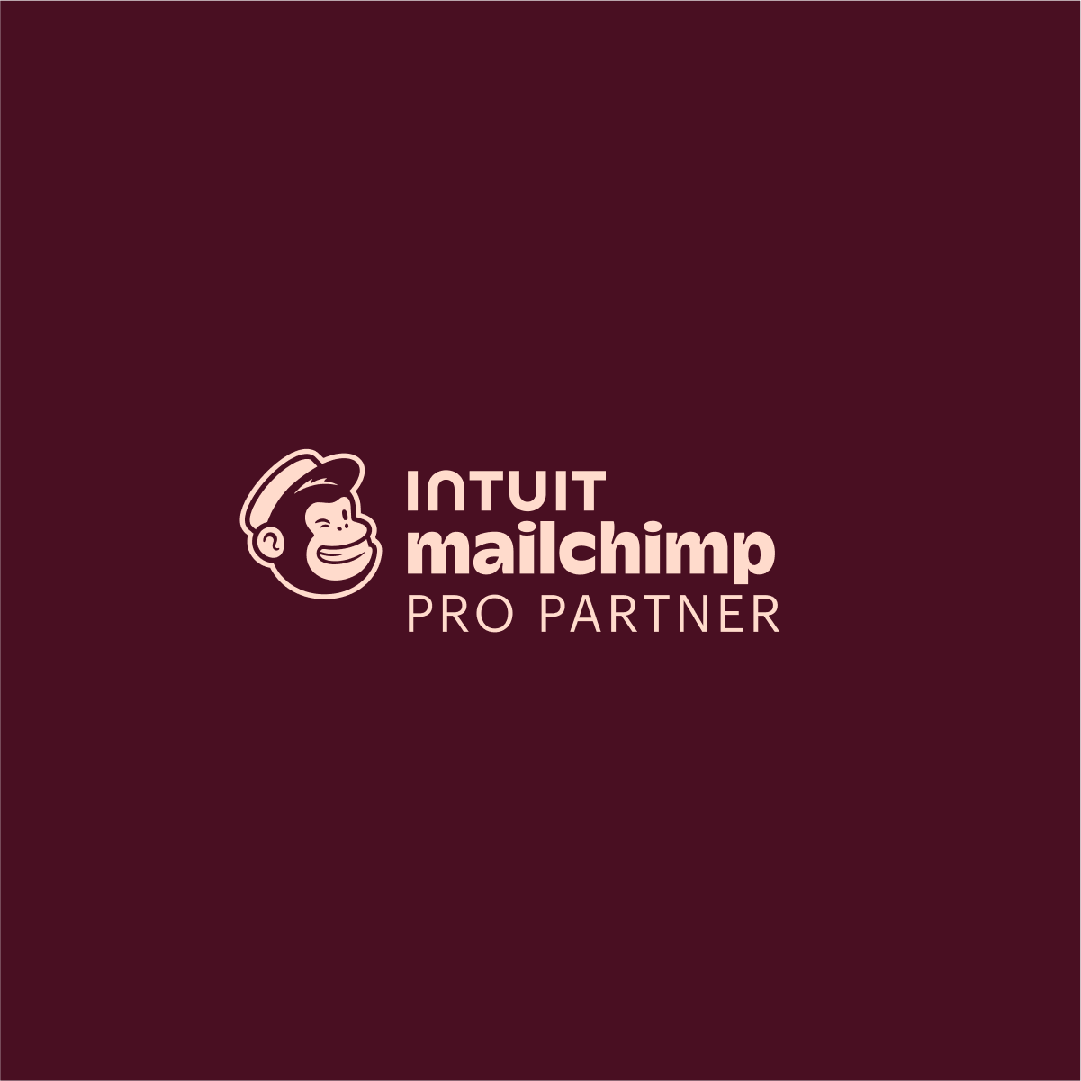 Mailchimp_ProPartner_plum_1x1.png