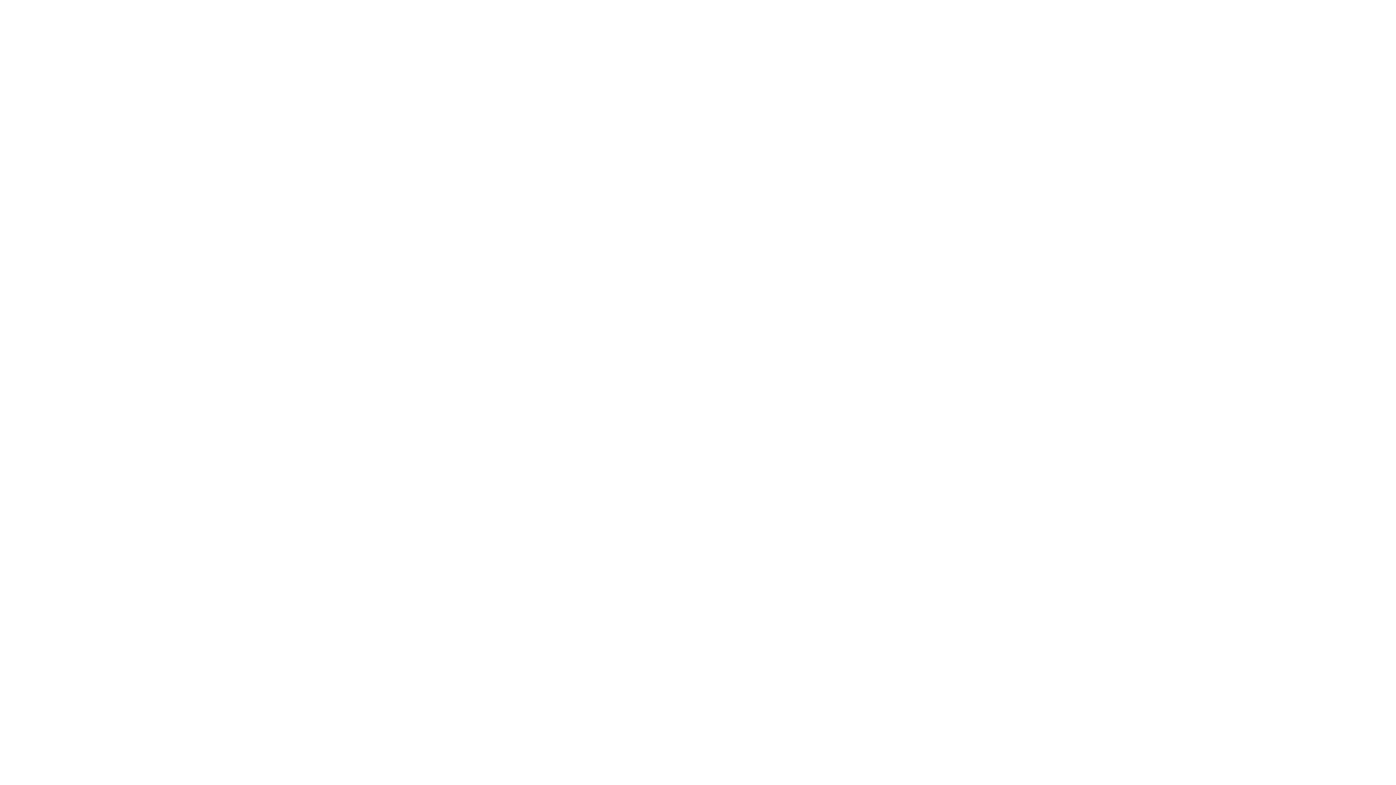 Black background with white cursive text that reads "anita zarate"