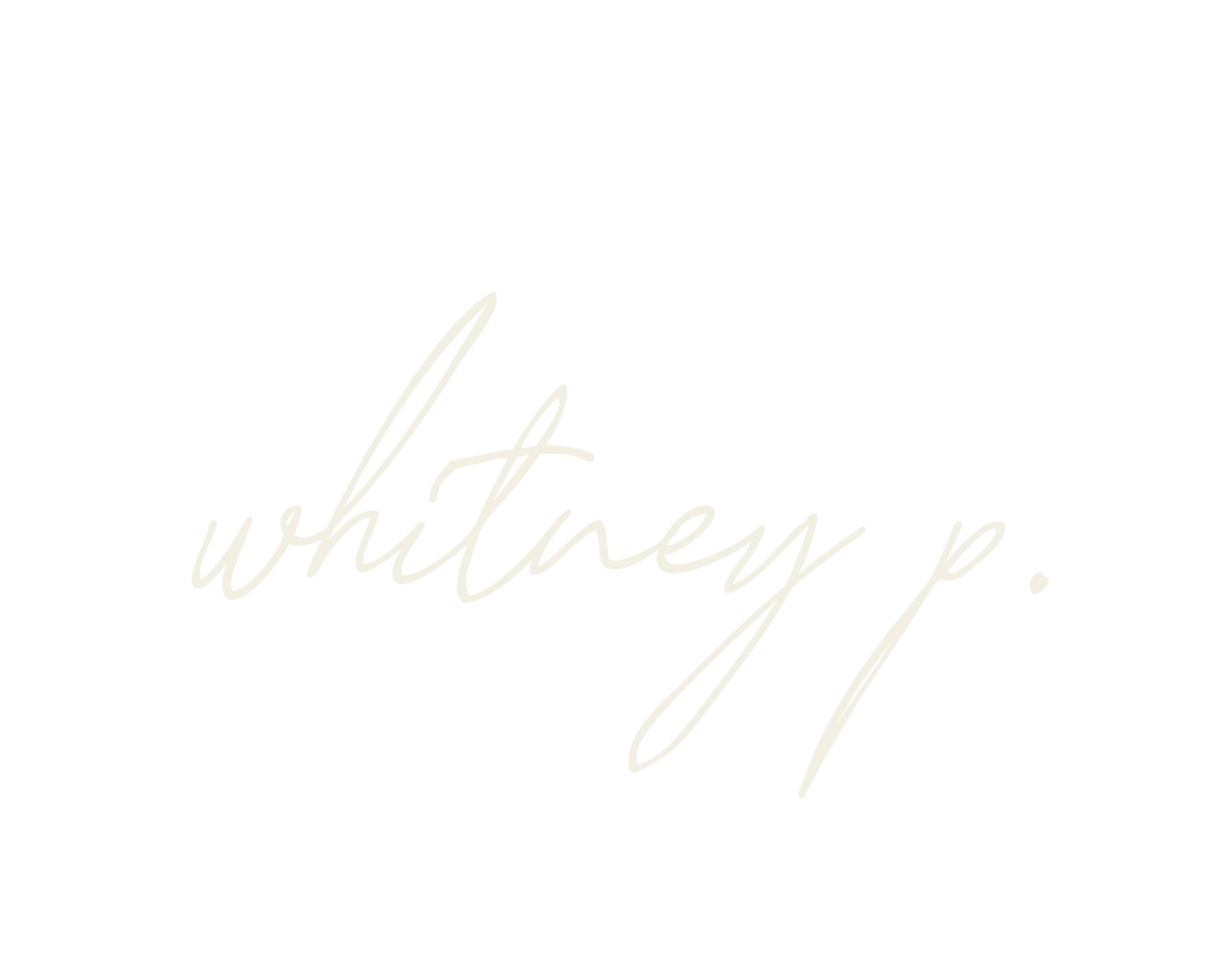 Black background with white handwritten-style text reading "whitney p."