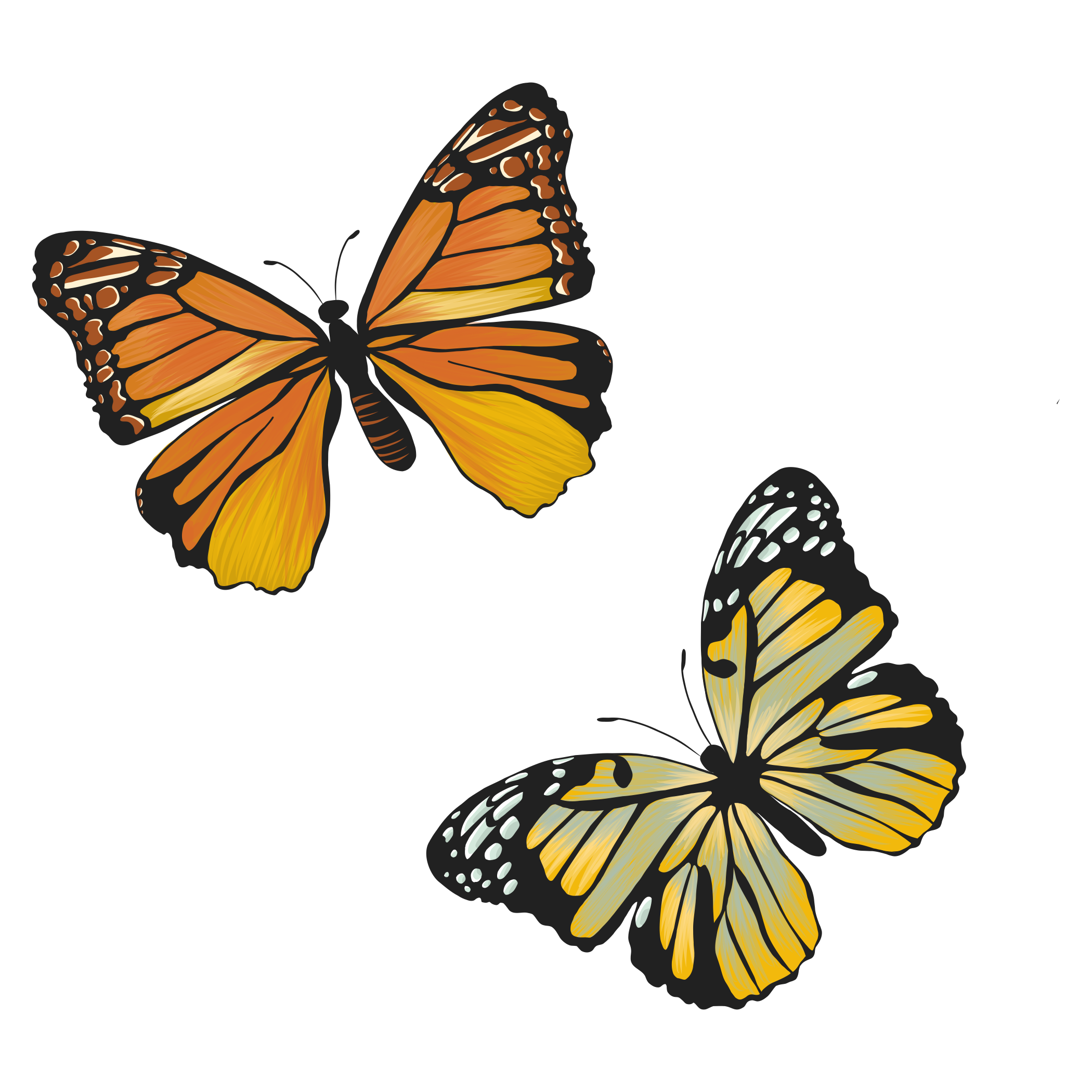 Illustration of two butterflies, one with orange and black wings, the other with yellow and black wings, flying against a transparent background.