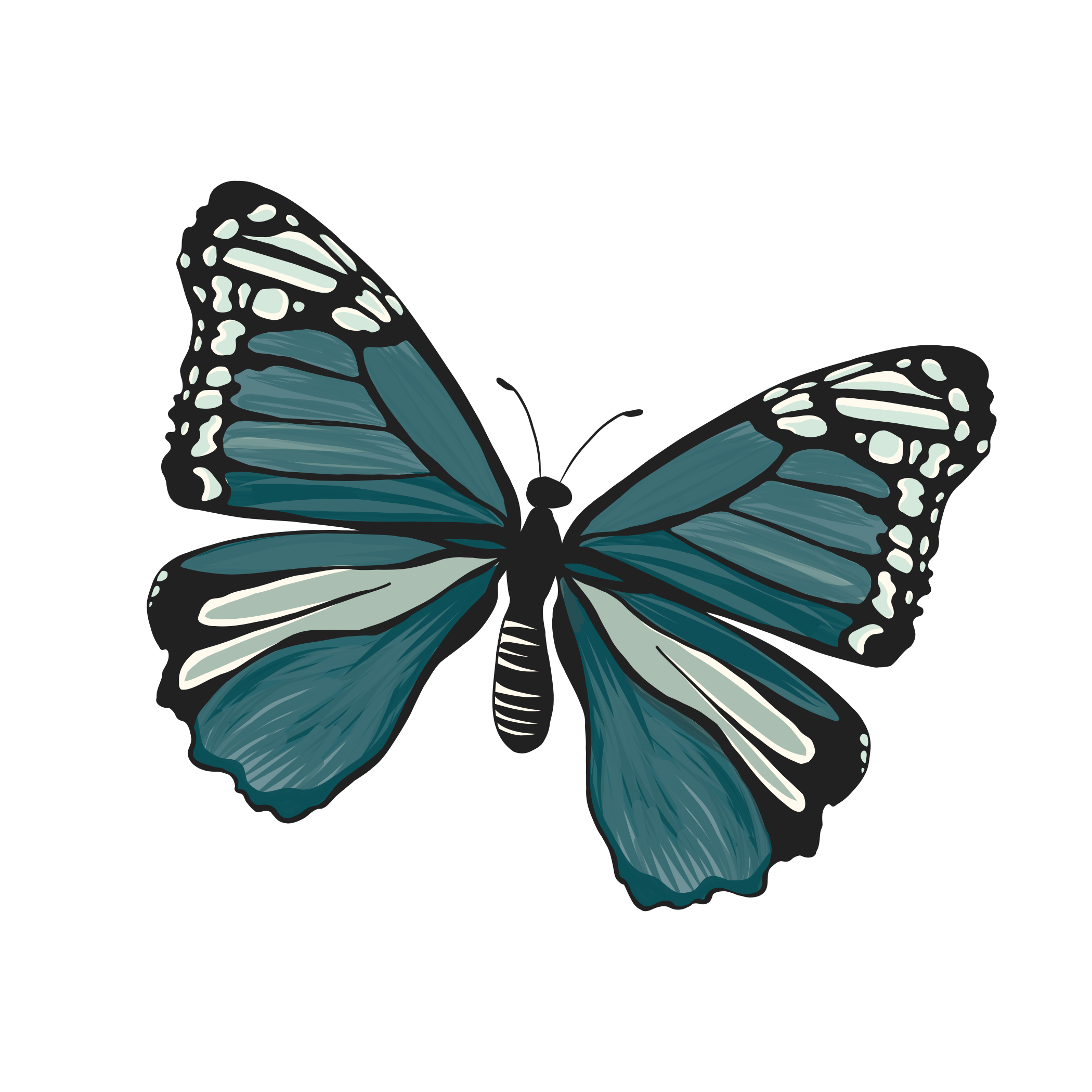 Illustration of a blue butterfly with white and dark blue markings on its wings.