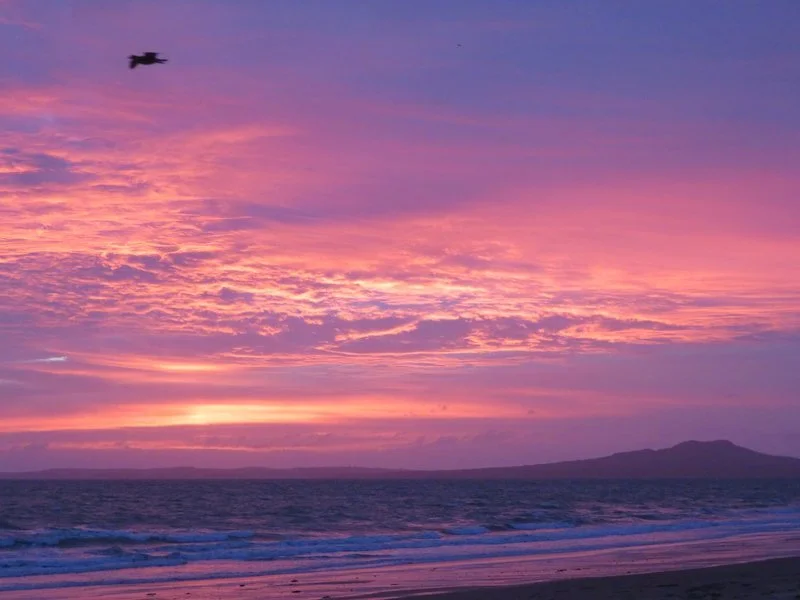 Brian Wilson Dawnopen Photo Comp 2020