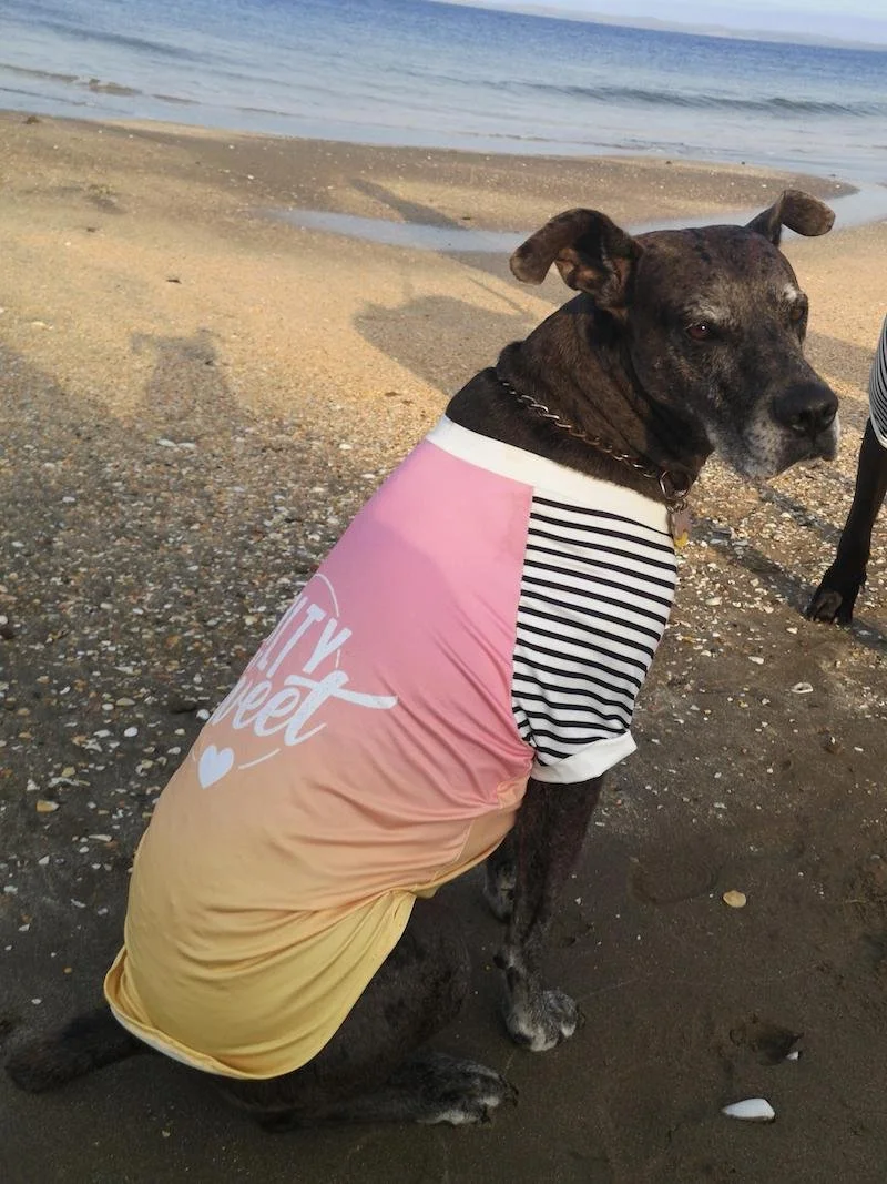 Abigail Schreiber Age 13 Pepper At The Beach