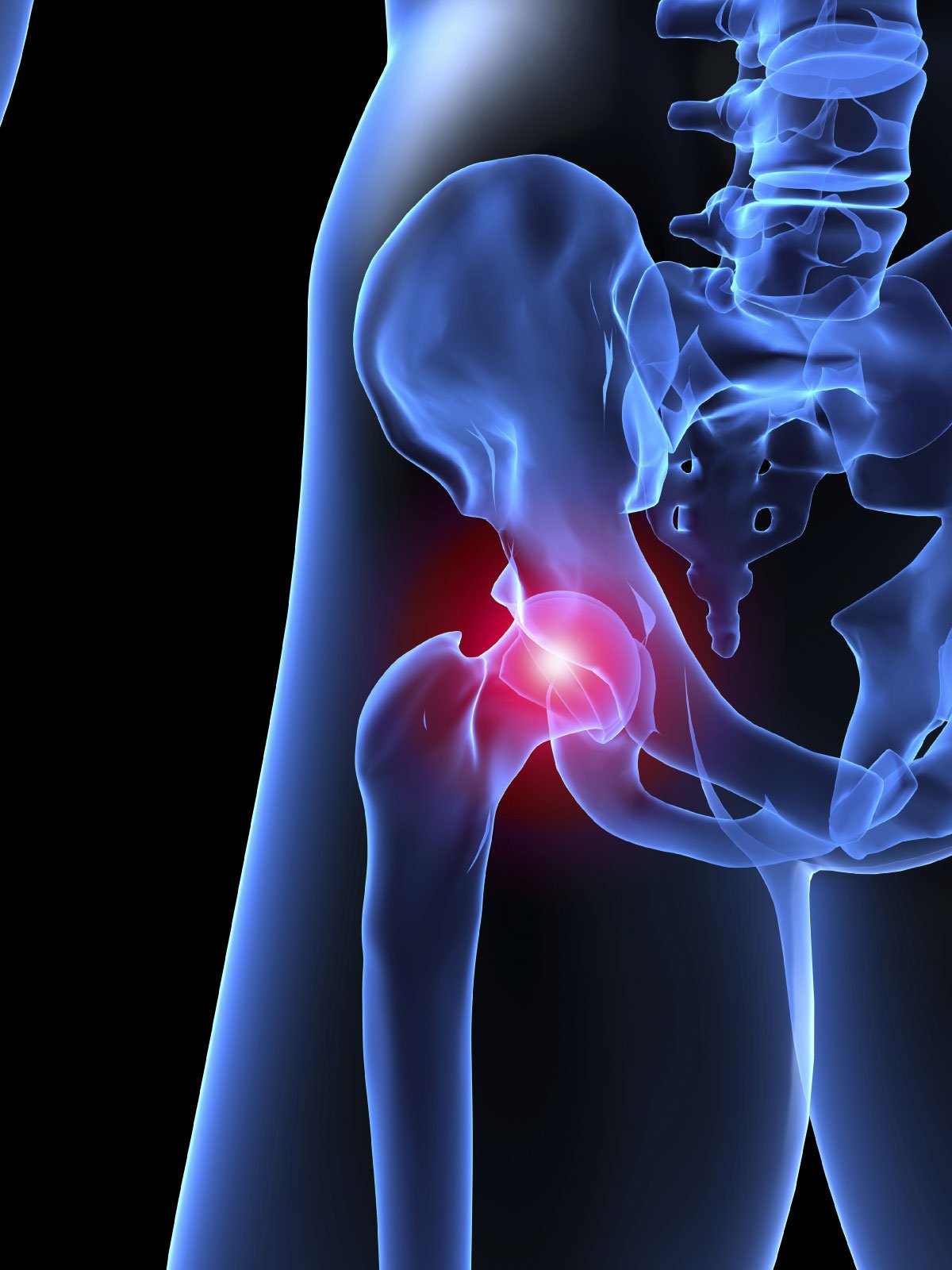 Mairangi Bay Physiotherapy