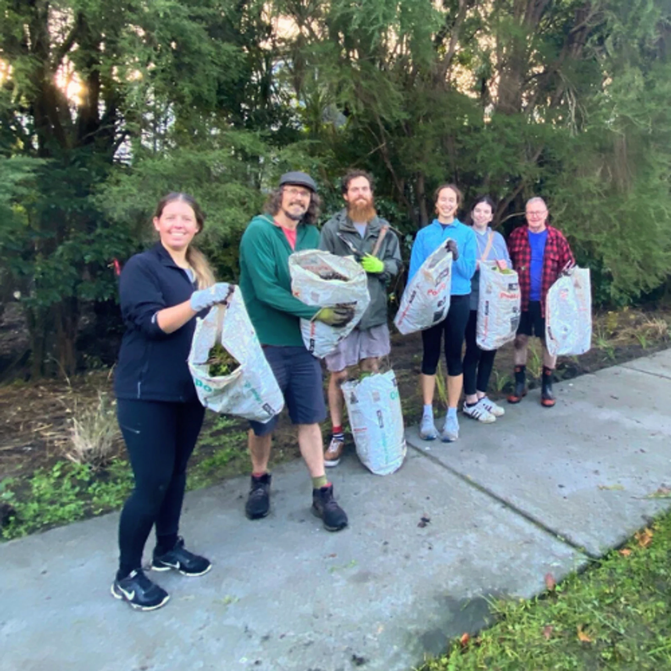 lg (4)__largepreview__.webp