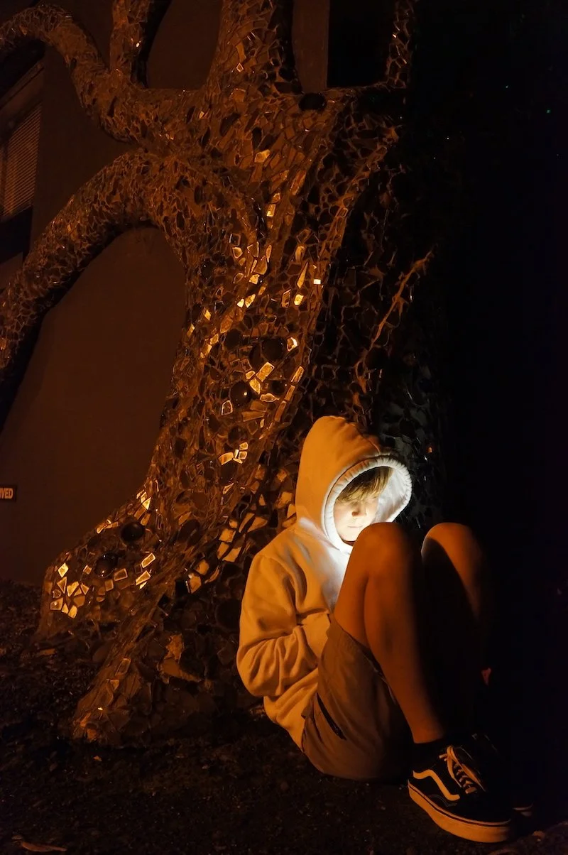 Nikki Livingston Outdoor Gaming, Photo Comp 2020