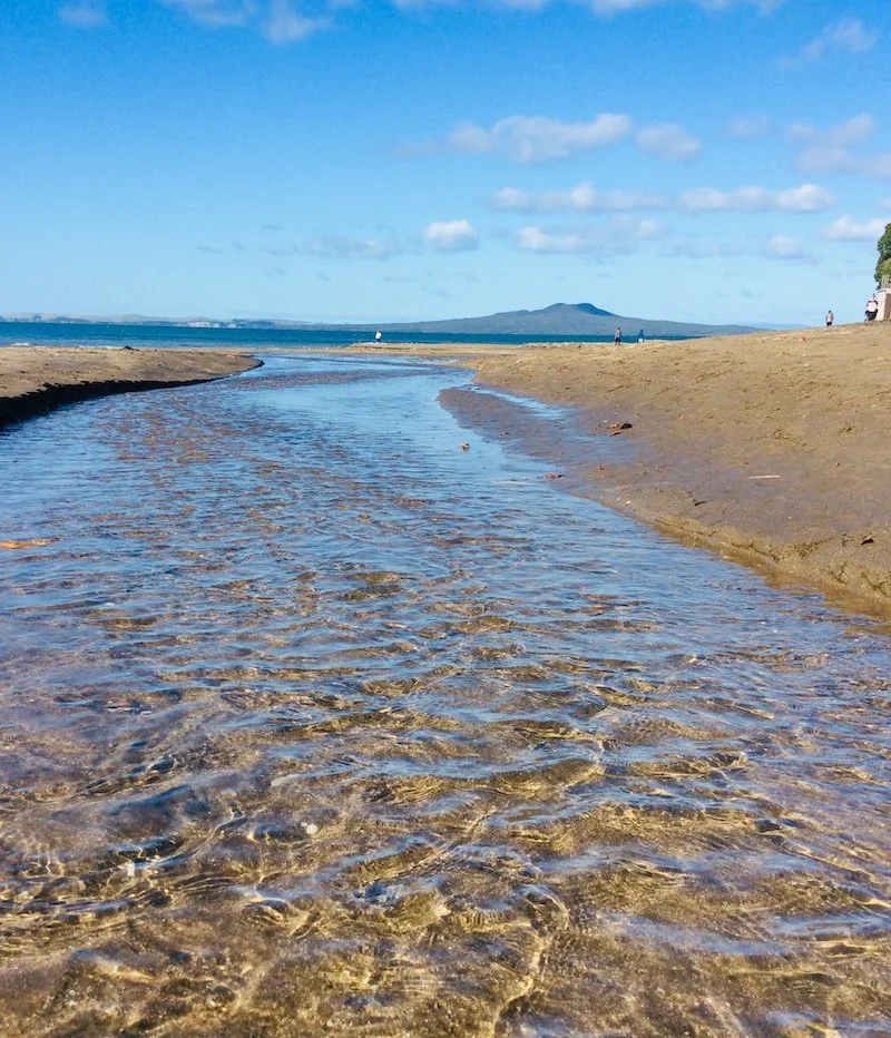 Annisha Cunningham Black Age 10 Stream