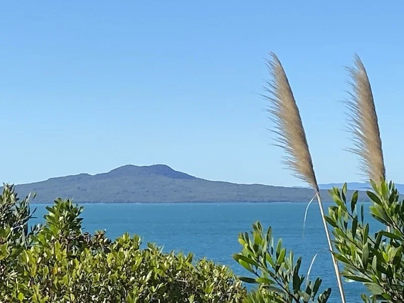 Francisa Jull Reserve At The Bottom Of Brighton, Photo Comp 2020