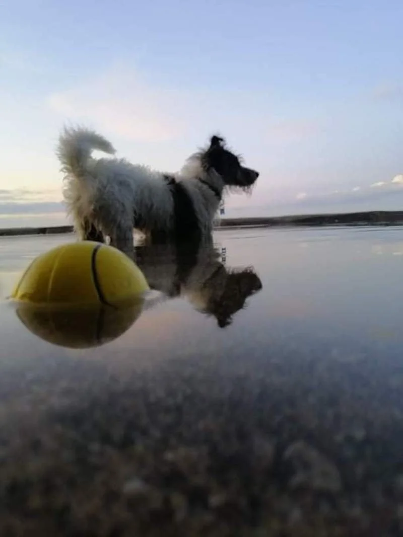 Olivia Hawkins Stopping To Watch The Sunset