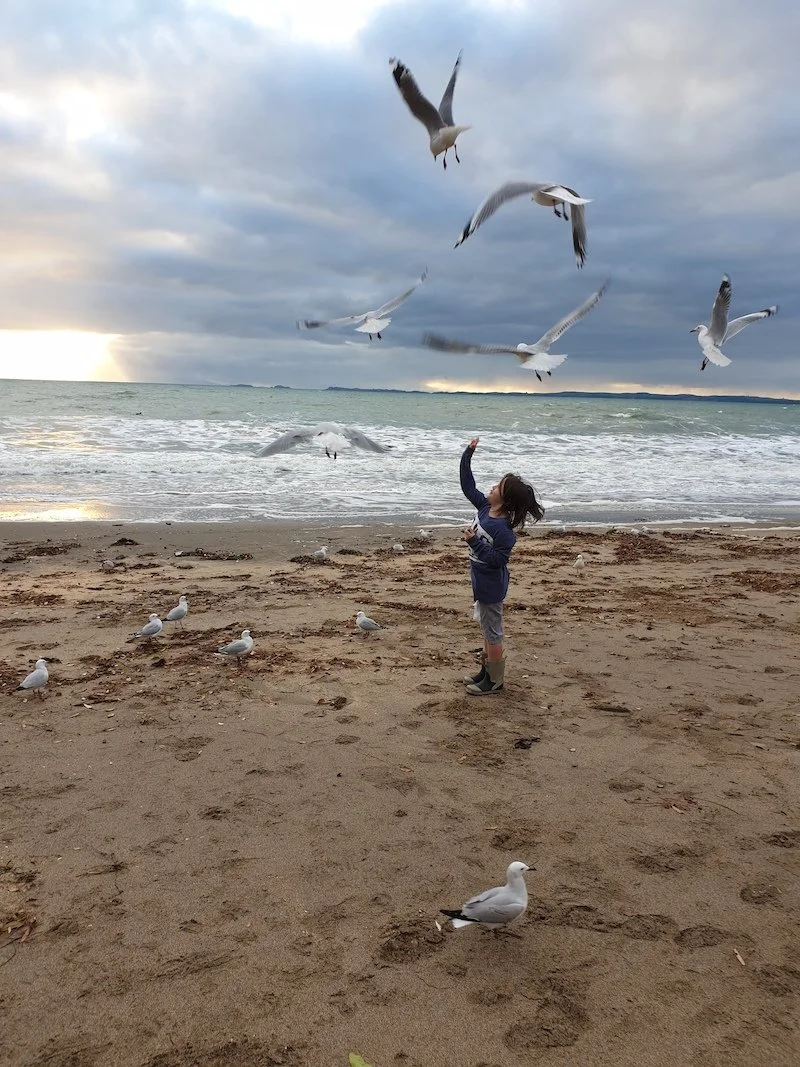 Dian Warner Brunch With Friends Level 3 Open Photo Comp 2020