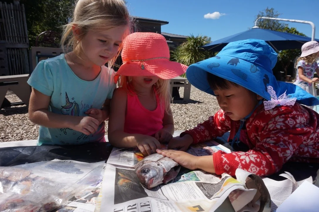 Rangitoto Kindergarten